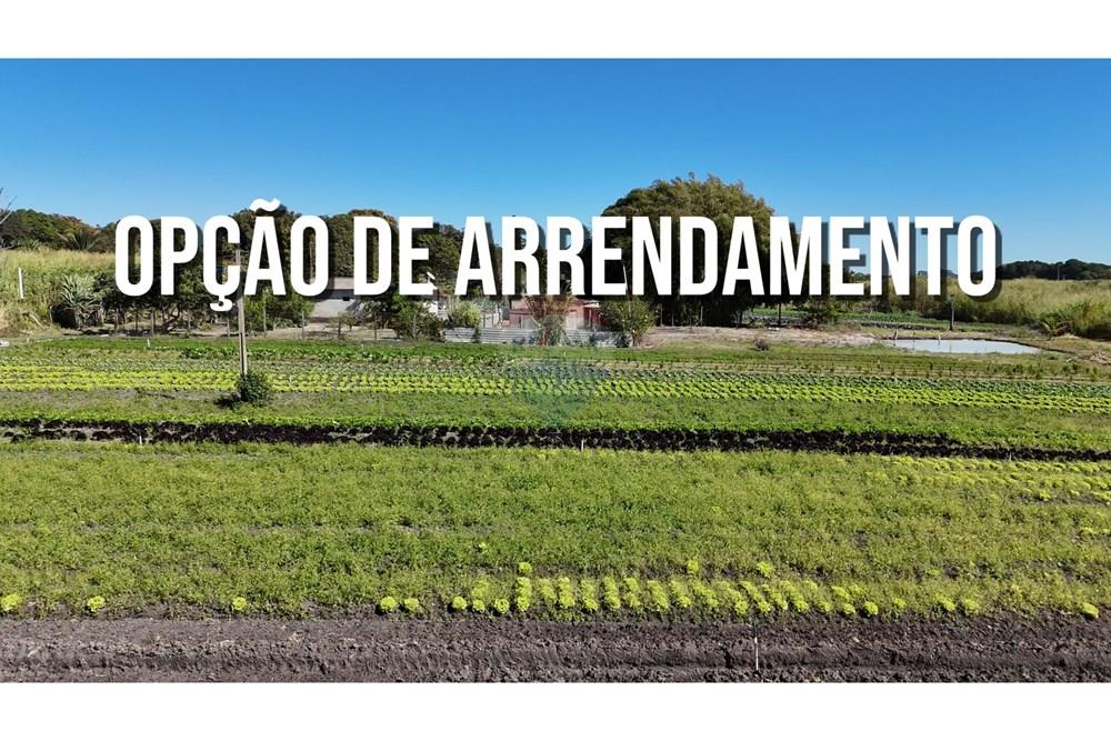 Chácara / Sítio / Fazenda - Venda - Ceilandia , Distrito Federal - Incra 09(1).jpg - 880411017-37