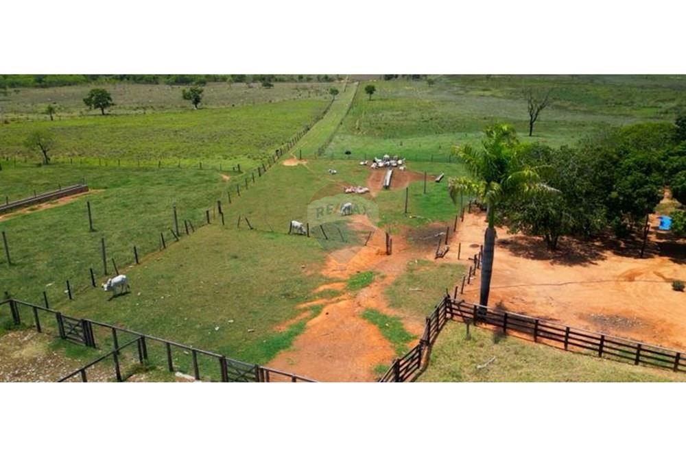 Chácara / Sítio / Fazenda - Venda - Unaí , Minas Gerais - WhatsApp Image 2025-02-26 at 08.09.37.jpeg - Jardim Externo - 880261133-87