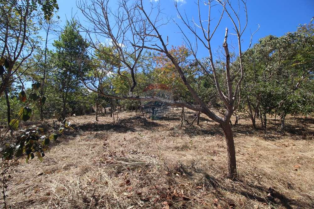 Terreno - Venda - Brasília , Distrito Federal - Interior - fundo para frente - dir para esq.JPG - 880151004-211