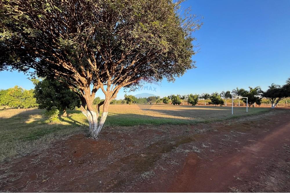 Chácara / Sítio / Fazenda - Venda - Brazlandia , Distrito Federal - IMG_4110.jpg - 880351001-200