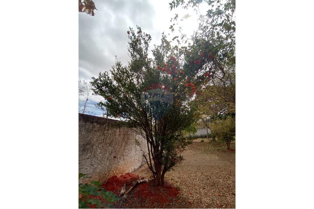 Sobrado - Venda - Brasília , Distrito Federal - 42.jpg - 880261050-29