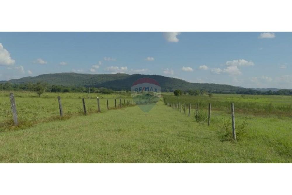 Chácara / Sítio / Fazenda - Venda - Unaí , Minas Gerais - WhatsApp Image 2025-02-26 at 08.09.35.jpeg - Jardim Externo - 880261133-87