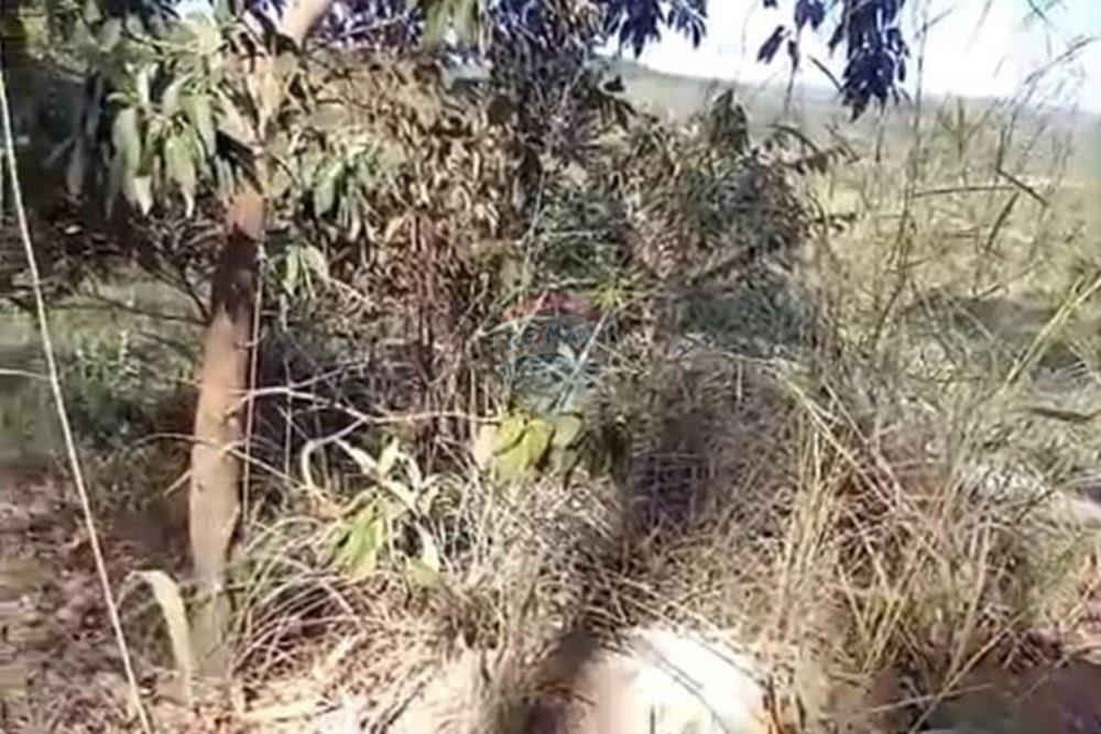 Chácara / Sítio / Fazenda - Venda - Água Fria de Goiás , Goiás - IMG-20250523-WA0246.jpg - 880231017-80