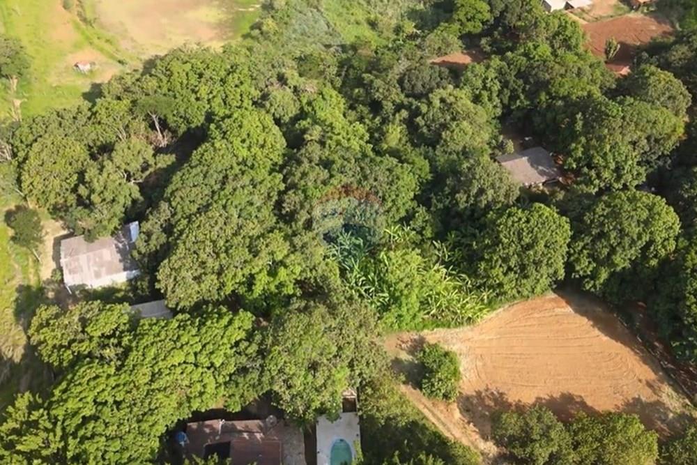 Chácara / Sítio / Fazenda - Venda - Gama , Distrito Federal - image (13).jpg - 880321005-55