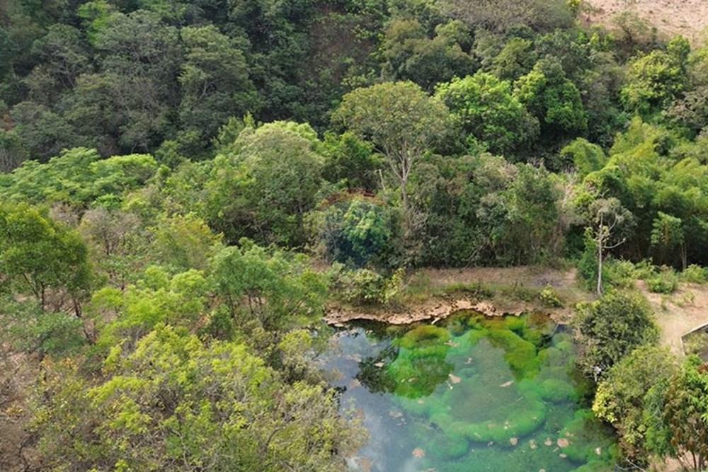 Chácara / Sítio / Fazenda - Venda - Gama , Distrito Federal - Captura de Tela (9876) copiar.jpg - 880161051-13