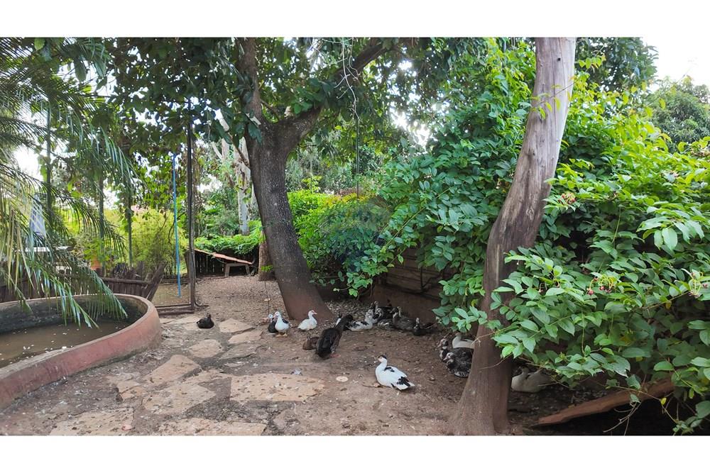 Casa - Venda - Brasília , Distrito Federal - DJI_20250529161329_0248_D.jpg - 880461004-36