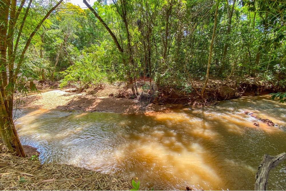 Chácara / Sítio / Fazenda - Venda - Cidade Ocidental , Goiás - IMG_5594.jpg - 880321021-99