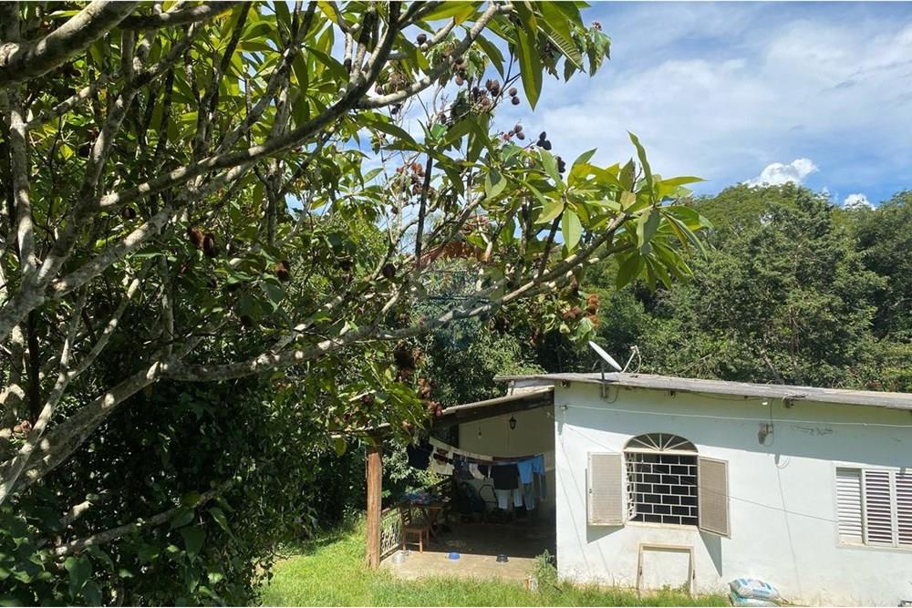 Chácara / Sítio / Fazenda - Venda - Paranoa , Distrito Federal - WhatsApp Image 2025-02-20 at 15.54.19 (1).jpeg - 880401014-2