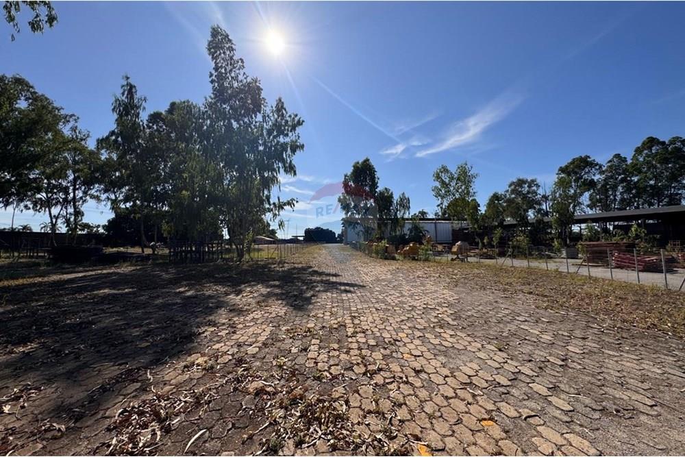 Galpão - Alugar - Recanto das Emas , Distrito Federal - WhatsApp Image 2025-03-28 at 12.08.24 (1).jpeg - 880241011-252