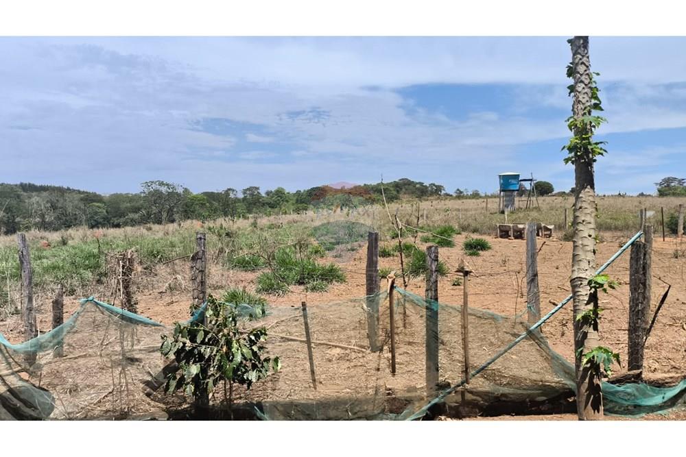 Chácara / Sítio / Fazenda - Venda - Cocalzinho de Goiás , Goiás - WhatsApp Image 2025-10-28 at 09.45.07 (3).jpeg - 880341129-15