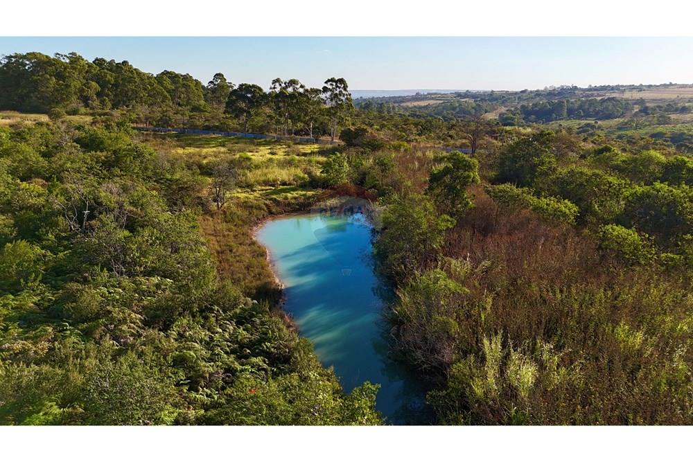 Chácara / Sítio / Fazenda - Venda - Brazlandia , Distrito Federal - dji_fly_20250703_162900_0018_1751970014561_photo.jpeg - 880351001-187