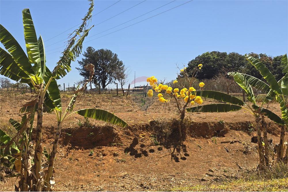 Chácara / Sítio / Fazenda - Venda - Gama , Distrito Federal - 31 - 880321005-55