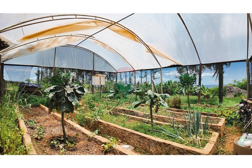 Chácara / Sítio / Fazenda - Venda - Sobradinho , Distrito Federal - DJI_20250123120515_0580_D (1).jpg - 880231061-43