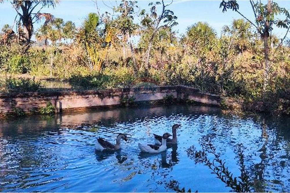 Chácara / Sítio / Fazenda - Venda - Cristalina , Goiás - WhatsApp Image 2025-07-29 at 16.23.19 (2).jpeg - 880341026-65