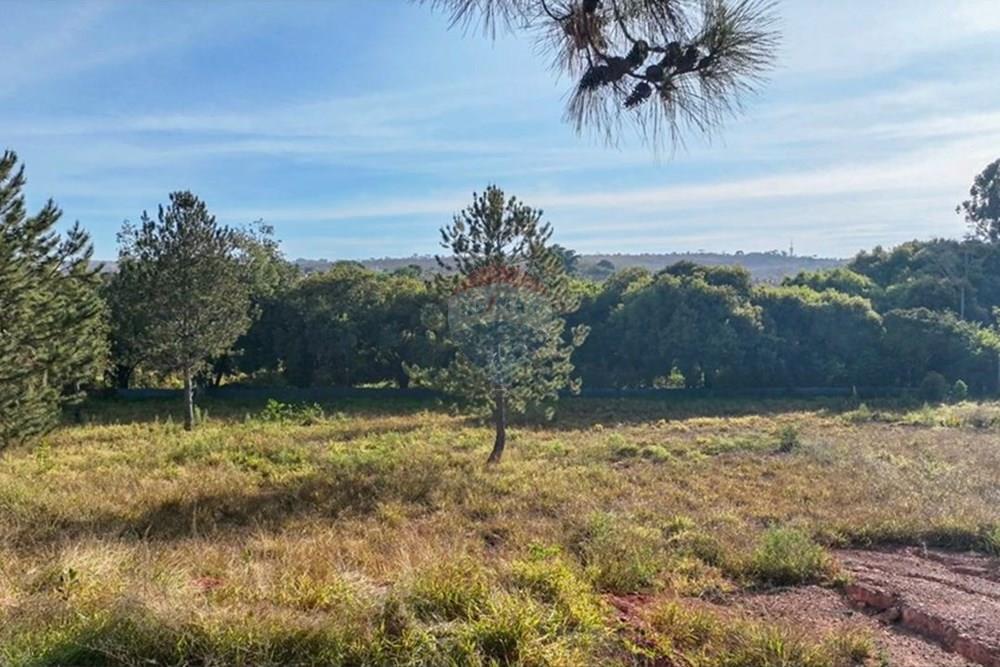 Terreno - Venda - Brasília , Distrito Federal - WhatsApp Image 2025-08-27 at 22.43.17.jpeg - 880221014-131