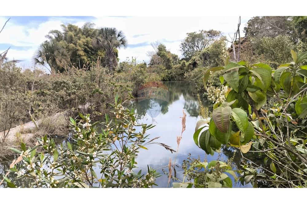 Chácara / Sítio / Fazenda - Venda - Cristalina , Goiás - WhatsApp Image 2025-07-31 at 14.48.17.jpeg - 880341026-65