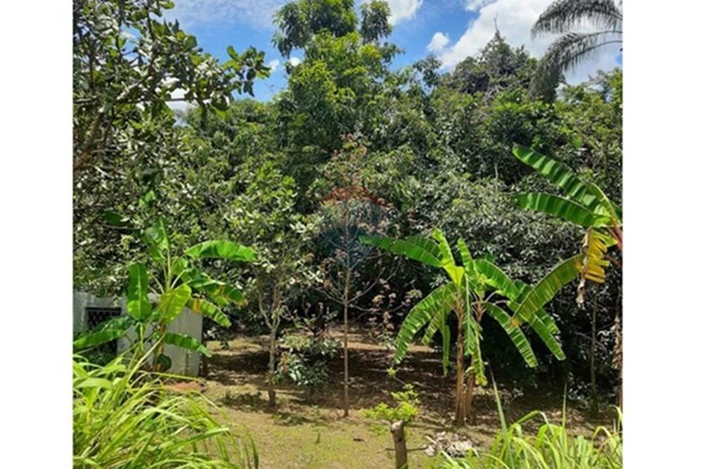 Chácara / Sítio / Fazenda - Venda - Águas Lindas de Goiás , Goiás - WhatsApp Image 2025-02-10 at 11.25.18.jpeg - 880111016-43