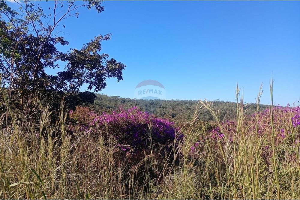 Chácara / Sítio / Fazenda - Venda - Água Fria de Goiás , Goiás - IMG-20250526-WA0012.jpg - 880231017-80
