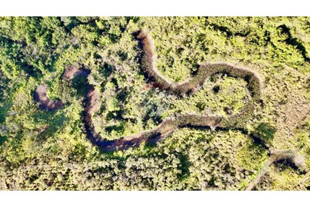 Chácara / Sítio / Fazenda - Venda - Brasília , Distrito Federal - L_0fd8e872-0587-4e53-8e38-d8547acc69f4.jpg - 880461004-43