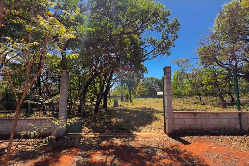 Terreno - Venda - Brasília , Distrito Federal - IMG_0939.jpg - Jardim Externo - 880261141-15