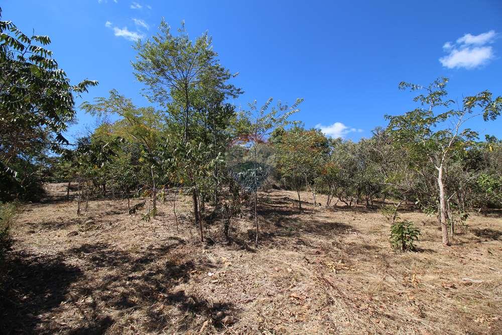 Terreno - Venda - Brasília , Distrito Federal - Interior - fundo para a frente - dir para esq.JPG - 880151004-211