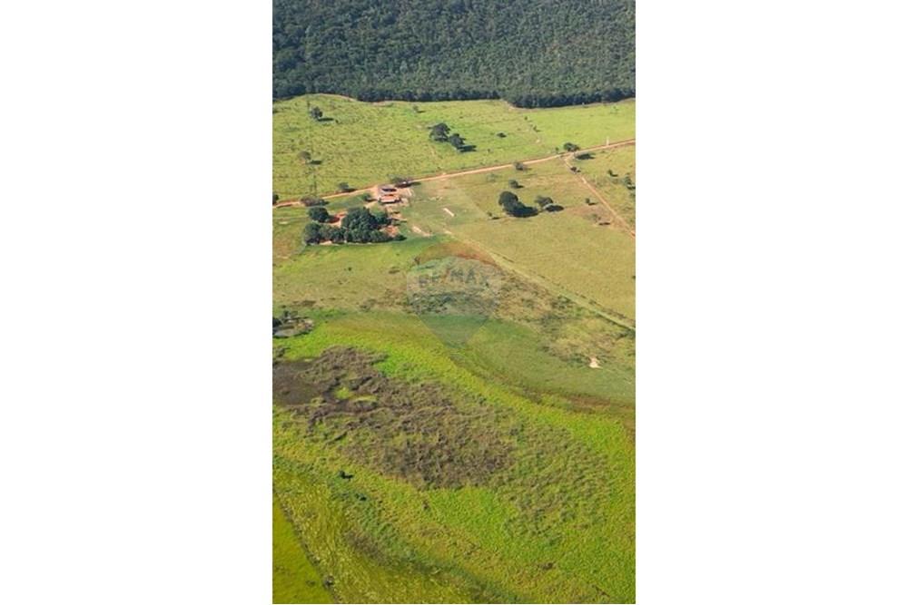 Chácara / Sítio / Fazenda - Venda - Unaí , Minas Gerais - WhatsApp Image 2025-02-26 at 08.09.38.jpeg - Jardim Externo - 880261133-87