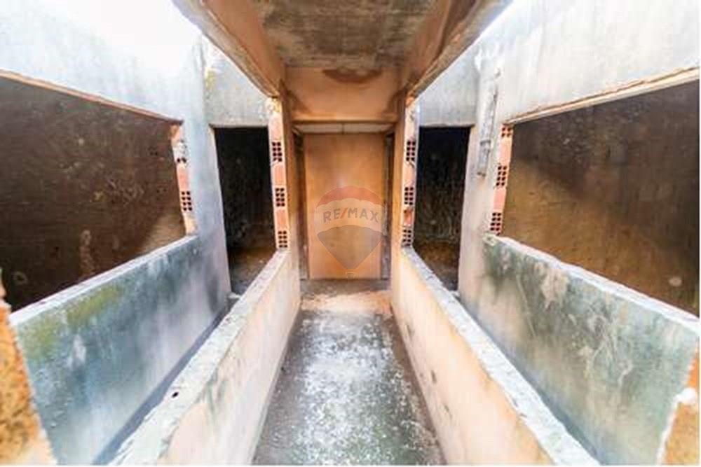 Apartamento - Venda - Gama , Distrito Federal - L_d5922655-ce13-42ec-94d2-682d0f71a315.jpg - 880241010-36