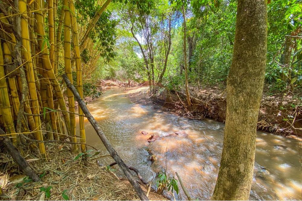 Chácara / Sítio / Fazenda - Venda - Cidade Ocidental , Goiás - IMG_5593.jpg - 880321021-99