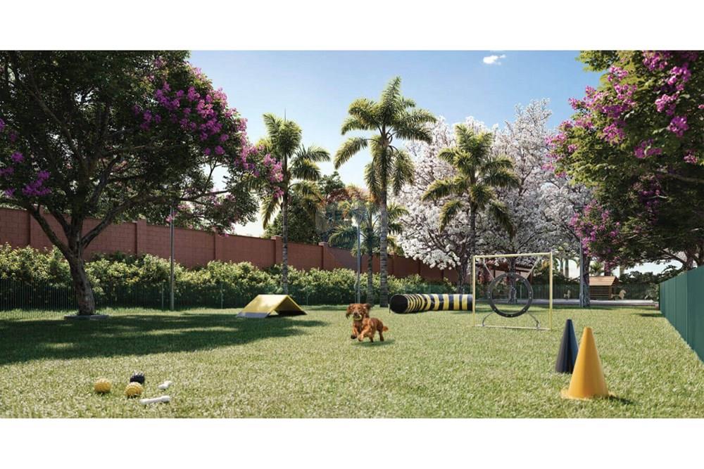 Terreno - Venda - Paranoa , Distrito Federal - praca-pet-place-jardins-genebra-fgr-imobiliaria-valus.jpg - 880341024-138