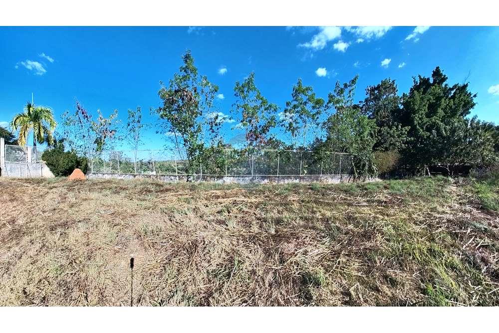 Terreno - Venda - Brasília , Distrito Federal - IMG_20240702_151731_00_merged.jpg - 880341021-132