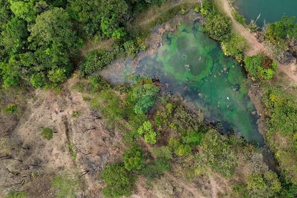 Chácara / Sítio / Fazenda - Venda - Gama , Distrito Federal - Captura de Tela (9877) copiar.jpg - 880161051-13