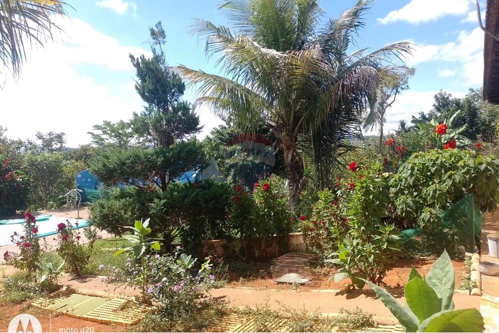 Chácara / Sítio / Fazenda - Venda - Ceilandia , Distrito Federal - WhatsApp Image 2025-05-20 at 14.24.12 (1).jpeg - 880401014-7