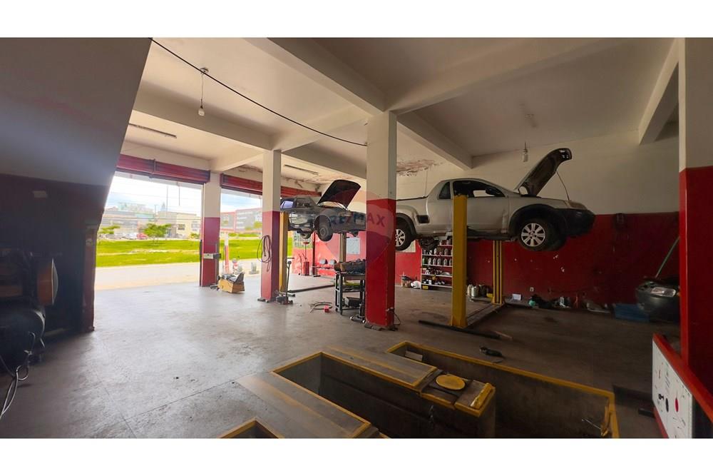 Galpão - Venda - Ceilandia , Distrito Federal - IMG_1198.jpg - 880261149-6