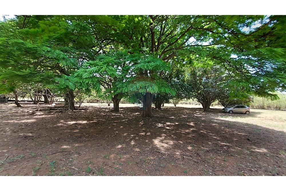 Chácara / Sítio / Fazenda - Venda - Valparaíso de Goiás , Goiás - 05.jpeg - 880341017-47
