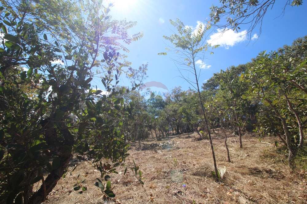 Terreno - Venda - Brasília , Distrito Federal - Fachada 4.JPG - 880151004-211