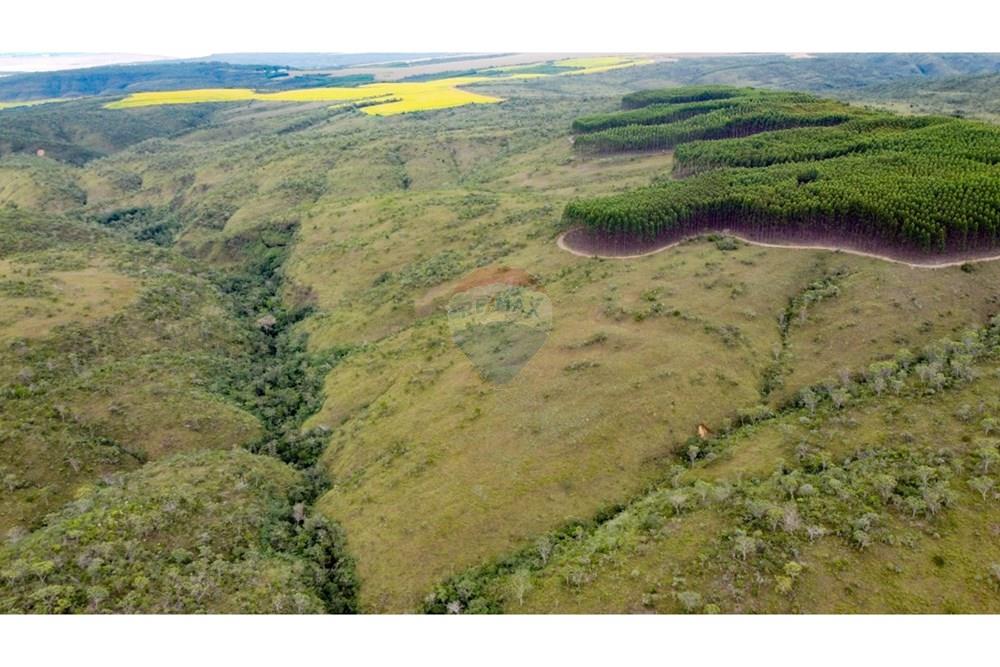 Chácara / Sítio / Fazenda - Venda - Água Fria de Goiás , Goiás - IMG-20250526-WA0149 (1).jpg - 880231017-80