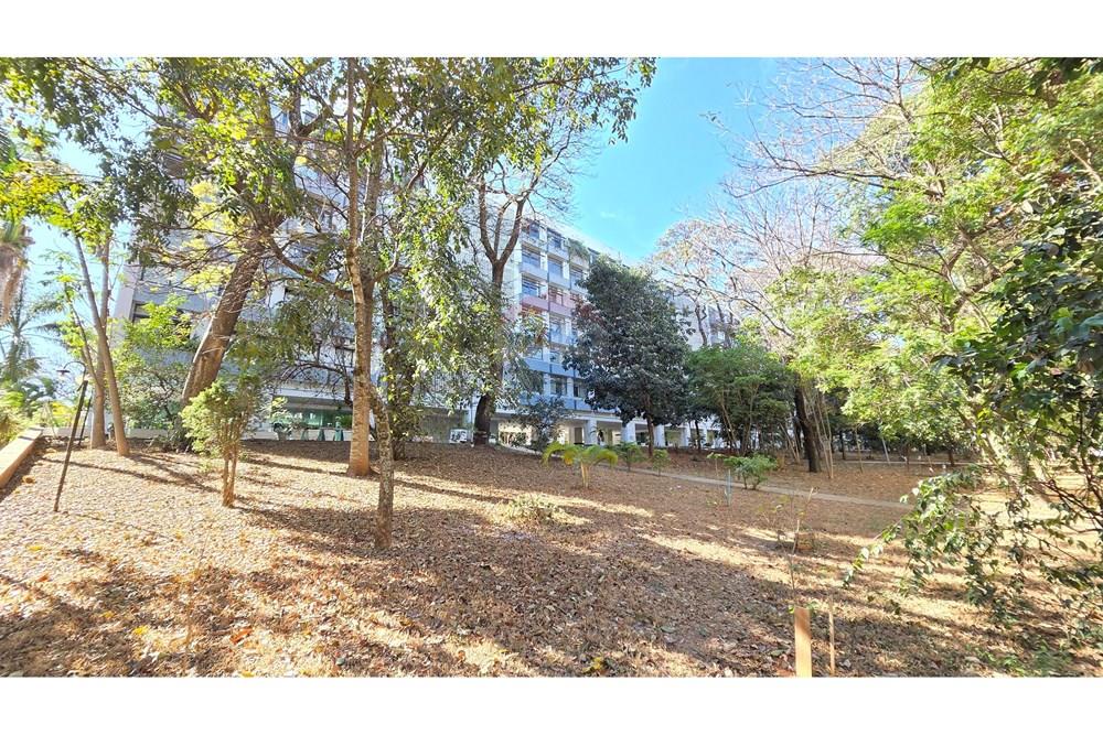 Apartamento - Alugar - Brasília , Distrito Federal - 20250826_150310.jpg - 880131003-233