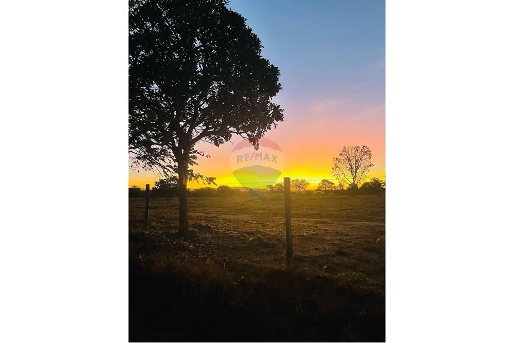 Fazenda - Venda - Padre Bernardo , Goiás - WhatsApp Image 2025-04-18 at 16.31.31.jpeg - 880341026-62