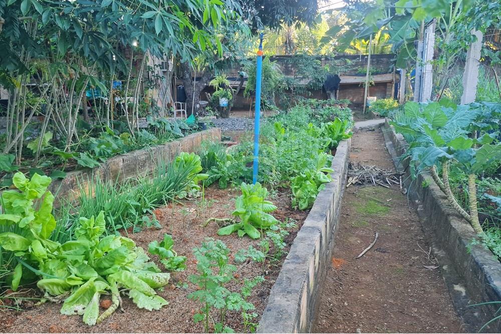 Chácara / Sítio / Fazenda - Venda - Brasília , Distrito Federal - 20250507_165555.jpg - 880321021-71