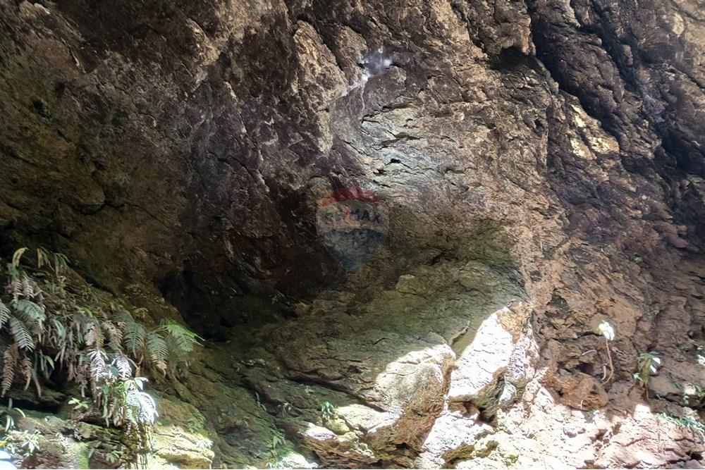 Chácara / Sítio / Fazenda - Venda - Luziânia , Goiás - Imagem do WhatsApp de 2025-06-26 à(s) 23.13.27_83900131.jpg - 880231017-81