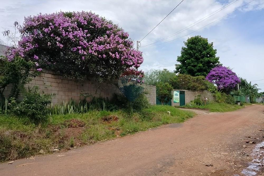 Terreno - Venda - Brasília , Distrito Federal - PHOTO-2025-01-31-12-28-17.jpg - 880231128-34