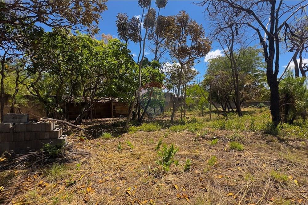 Terreno - Venda - Brasília , Distrito Federal - IMG_0938.jpg - Jardim Externo - 880261141-15