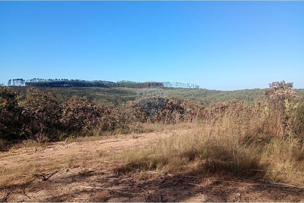 Chácara / Sítio / Fazenda - Venda - Água Fria de Goiás , Goiás - IMG-20250526-WA0015 (1).jpg - 880231017-80