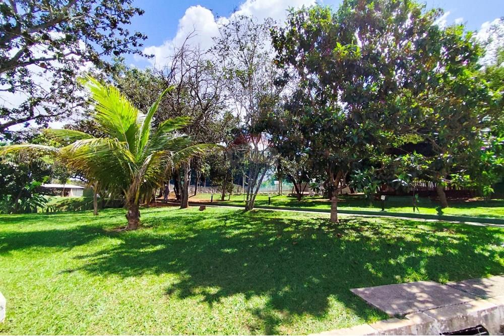 Terreno - Venda - Brasília , Distrito Federal - WhatsApp Image 2025-05-19 at 16.11.34.jpeg - 880341024-132