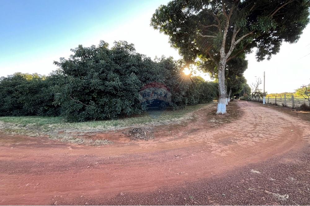 Chácara / Sítio / Fazenda - Venda - Brazlandia , Distrito Federal - IMG_4105.jpg - 880351001-200