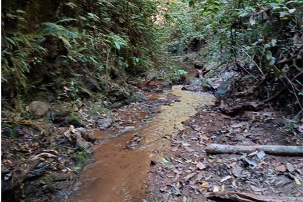 Chácara / Sítio / Fazenda - Venda - Luziânia , Goiás - Imagem do WhatsApp de 2025-06-26 à(s) 23.13.25_e22b2948.jpg - 880231017-81