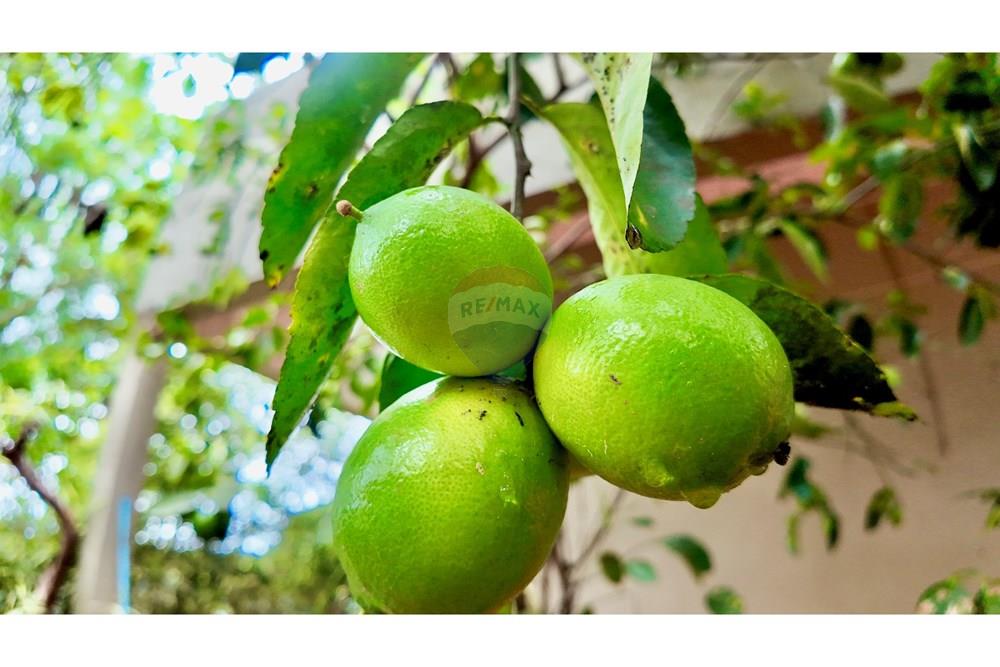 Casa de Condomínio - Venda - Brasília , Distrito Federal - DJI_20241107092908_0991_D.jpg - 880341021-101