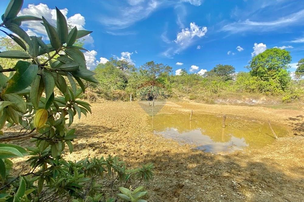 Chácara / Sítio / Fazenda - Venda - Santo Antônio do Descoberto , Goiás - IMG_7529.JPG - 880111025-46