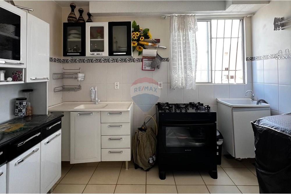 Apartamento - Venda - Riacho Fundo , Distrito Federal - WhatsApp Image 2025-10-30 at 15.42.36.jpeg - Cozinha - 880391082-4