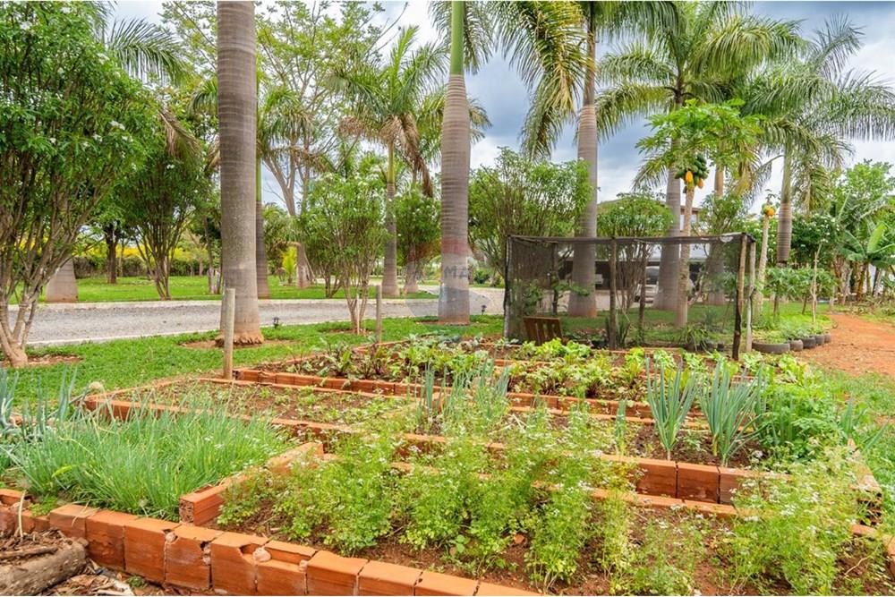 Chácara / Sítio / Fazenda - Venda - Sobradinho , Distrito Federal - WhatsApp Image 2025-05-27 at 18.39.26.jpeg - 880131015-38